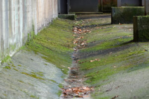 023-2017-12-28 Landshaftspark Duisburg