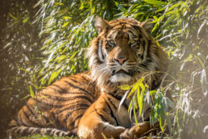 024-2016-02-28 Dierentuin