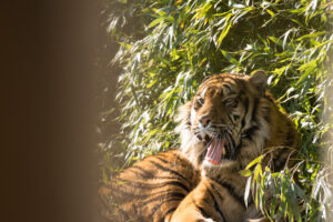 026-2016-02-28 Dierentuin
