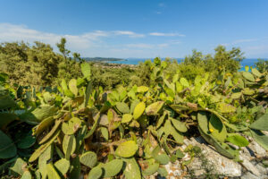 026-2017-05-17 Corfu