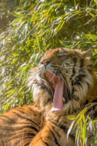 027-2016-02-28 Dierentuin