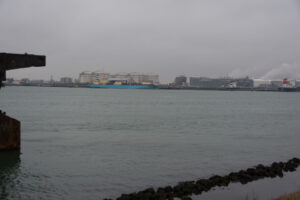 030-2016-01-09 Landtong Rozenburg