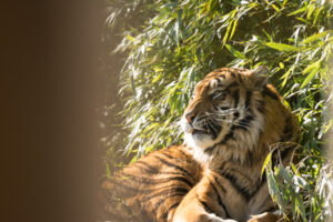 030-2016-02-28 Dierentuin