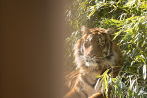 031-2016-02-28 Dierentuin