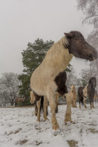 032-2016-02-14 Arnhem eo