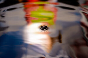 032-2017-01-15 Druppels en Quinty
