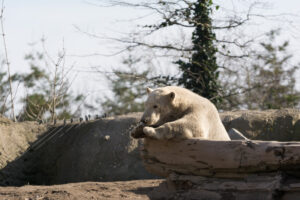 033-2016-02-28 Dierentuin