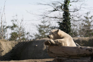 034-2016-02-28 Dierentuin