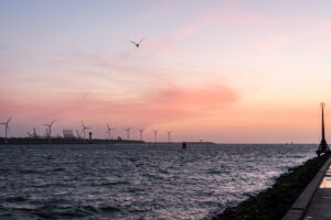 034-2017-08-17 Avondwandeling Hoek van Holland