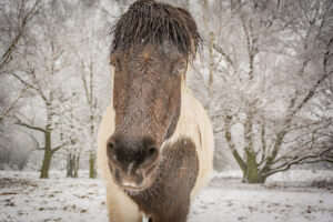 037-2016-02-14 Arnhem eo