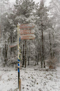 038-2016-02-14 Arnhem eo