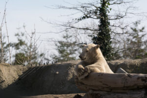 039-2016-02-28 Dierentuin