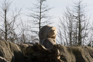 040-2016-02-28 Dierentuin