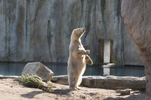 043-2016-02-28 Dierentuin