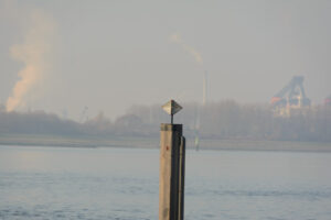045-2017-01-22 SvF Calandkanaal