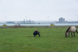 046-2016-01-09 Landtong Rozenburg