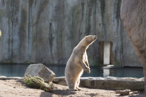 046-2016-02-28 Dierentuin