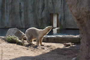 047-2016-02-28 Dierentuin