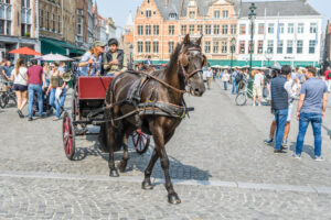 049-2017-08-26 Brugge eo met Iris