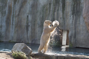050-2016-02-28 Dierentuin