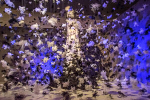 055-2016-02-14 Arnhem eo