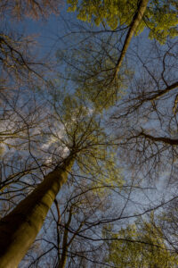 055-2016-04-17 Urbex in Duitsland