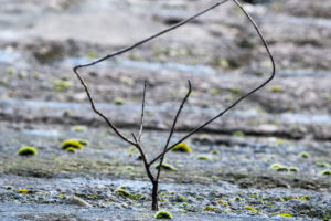 055-2017-12-28 Landshaftspark Duisburg