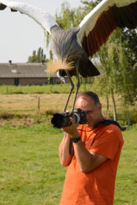 065-2016-08-27 Roofvogels