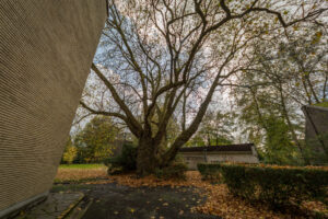 070-2017-11-05 Team Urbex