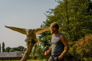 073-2016-08-27 Roofvogels