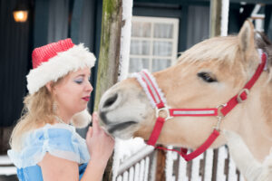 073-2017-12-10 Kerst event 2017