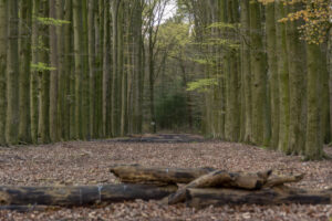 077-2016-04-17 Urbex in Duitsland