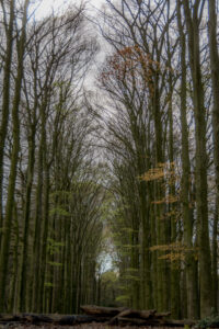 078-2016-04-17 Urbex in Duitsland