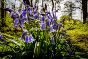 092-2017-04-27 Van alles