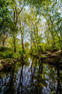095-2017-04-27 Van alles