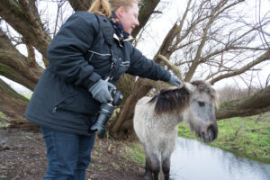097-2016-01-09 Landtong Rozenburg