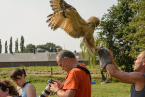 099-2016-08-27 Roofvogels