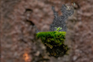 104-2016-02-13 Landshaftspark