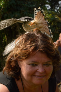 123-2016-08-27 Roofvogels