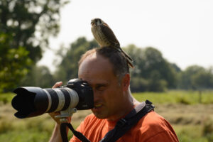 126-2016-08-27 Roofvogels