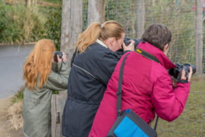 135-2016-03-20 Blijdorp cam Swap