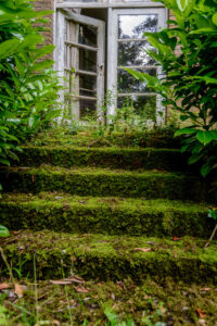 144-2016-07-03 Urbex België