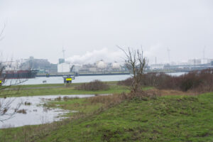 174-2016-01-09 Landtong Rozenburg