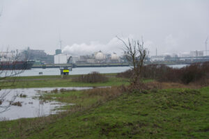 175-2016-01-09 Landtong Rozenburg