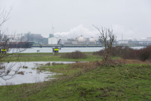 176-2016-01-09 Landtong Rozenburg