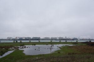 179-2016-01-09 Landtong Rozenburg