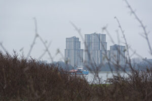 194-2016-01-09 Landtong Rozenburg