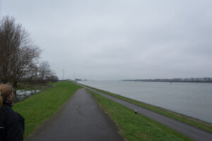 195-2016-01-09 Landtong Rozenburg