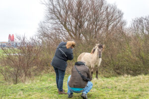 2016-01-09 Landtong  - Marja - 20160109-1776-87779