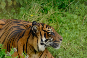 2016-07-20 Avond Dierentuin - 20160720-2114-102907